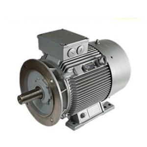  电机 7AA100L02