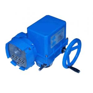  电动执行器 DPIM1-S-DCS